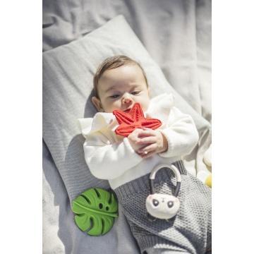Lanco Toys - Sensory bijtspeeltje zeester